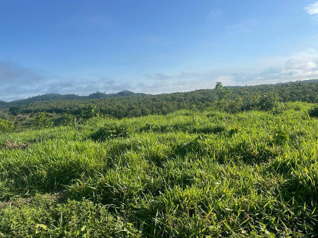 Fazenda em Cumaru do Norte - PA 9