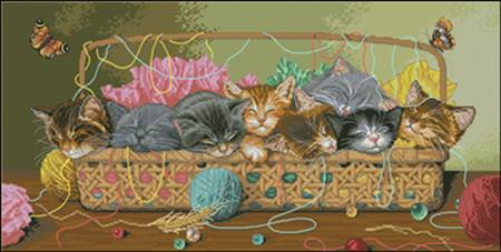 DIM35184 Kitty Litter