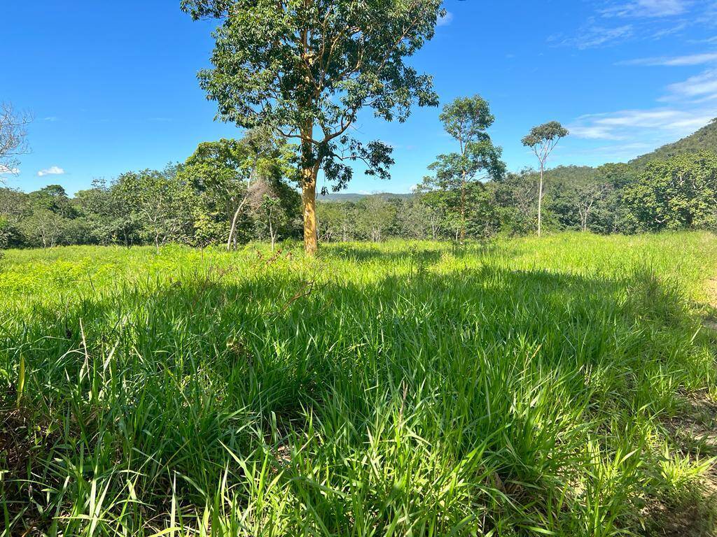 Fazenda no municipio de Santa Cruz de Goiás. 8