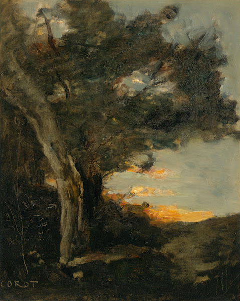 Coucher De Soleil Avec Une Lionne