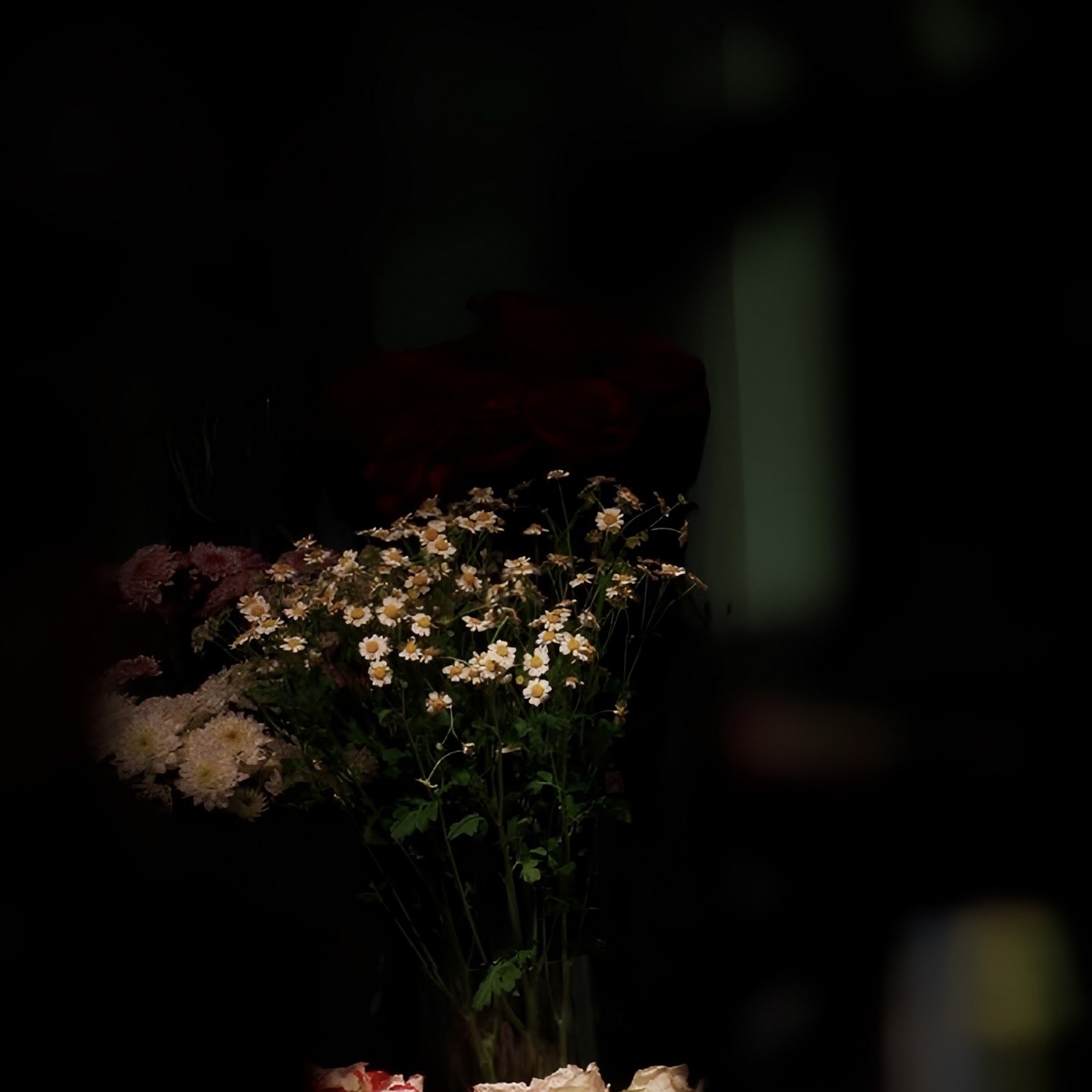 Download Moody Flowers in Deep Darkness Full HD iPhone
