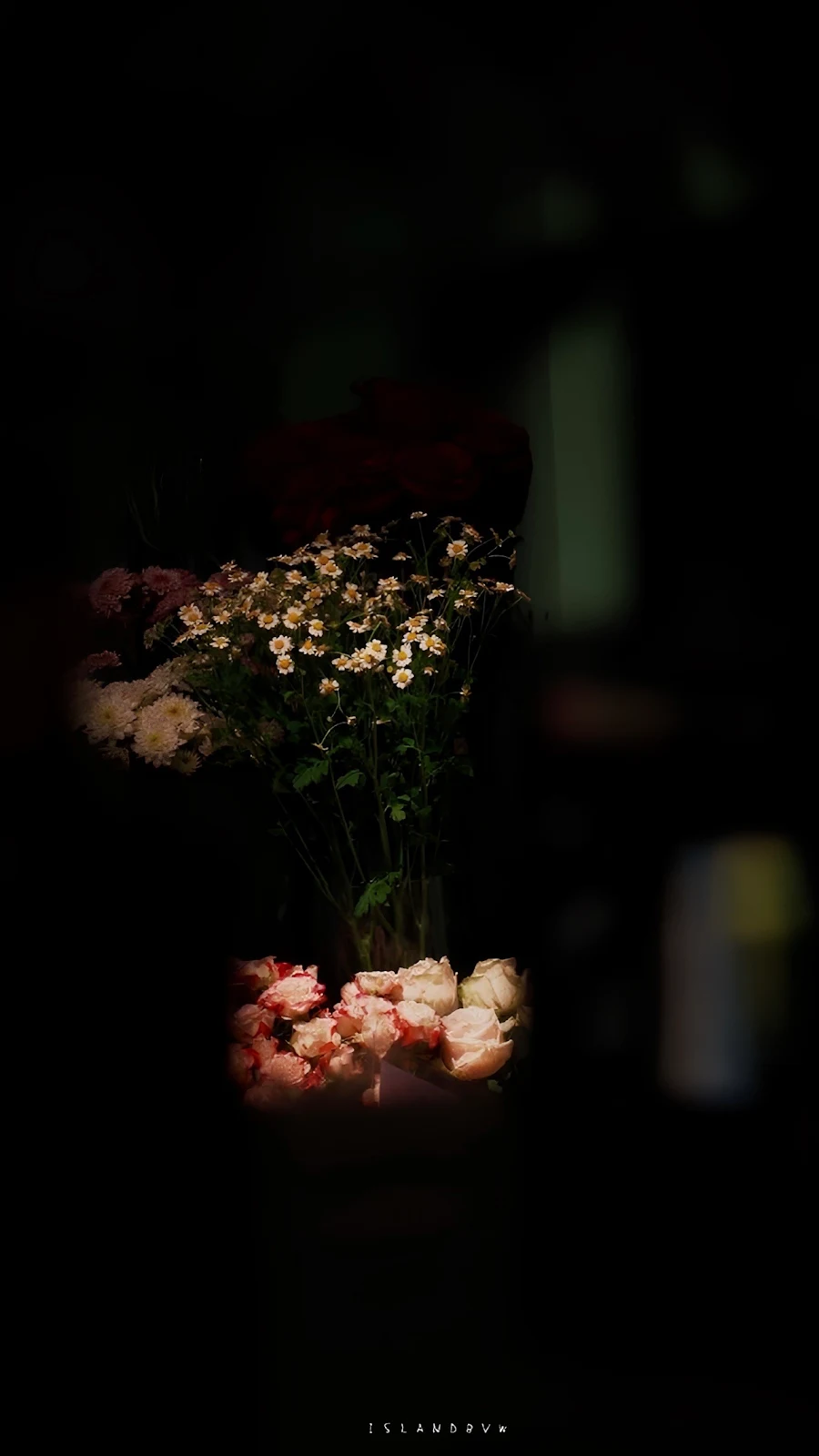 Moody Flowers in Deep Darkness - Low Key Photography Full HD iPhone Wallpaper (1287x2288)