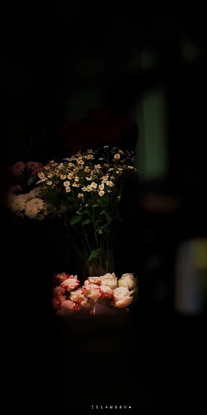 Moody Flowers in Deep Darkness Full HD iPhone Wallpaper Background