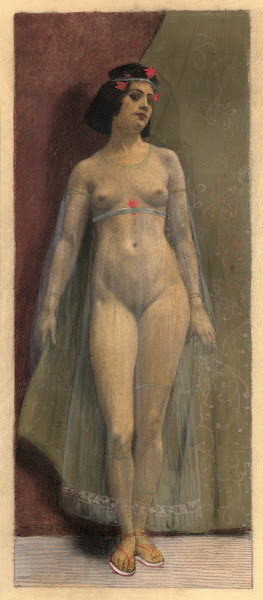 The beauty with the transparent veil