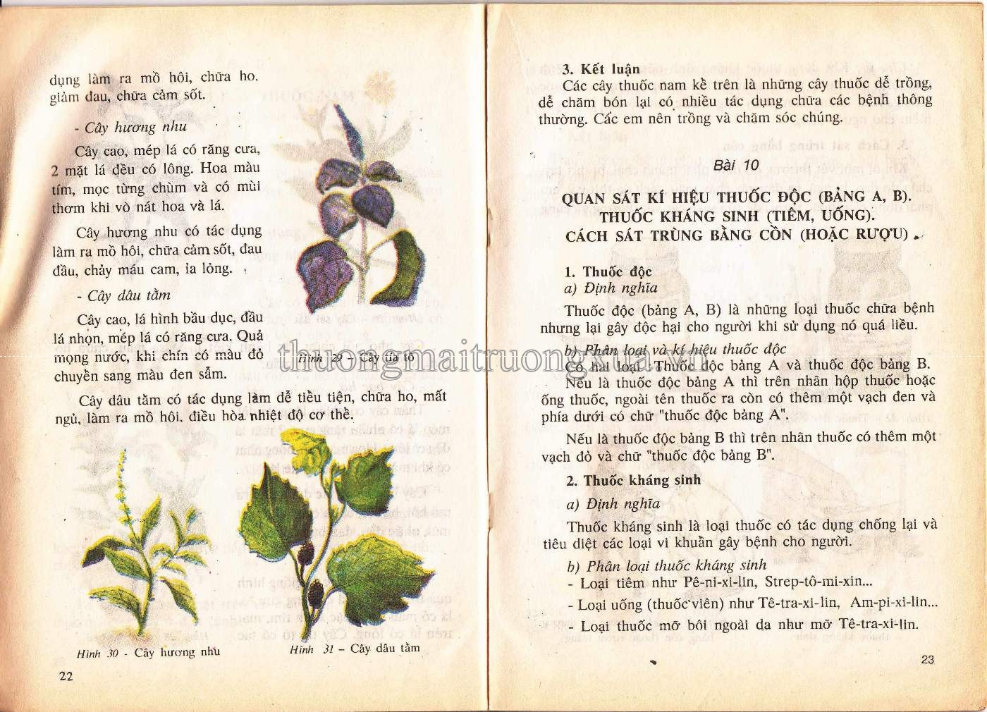 Sức khỏe 4 (1995) - Trang 12