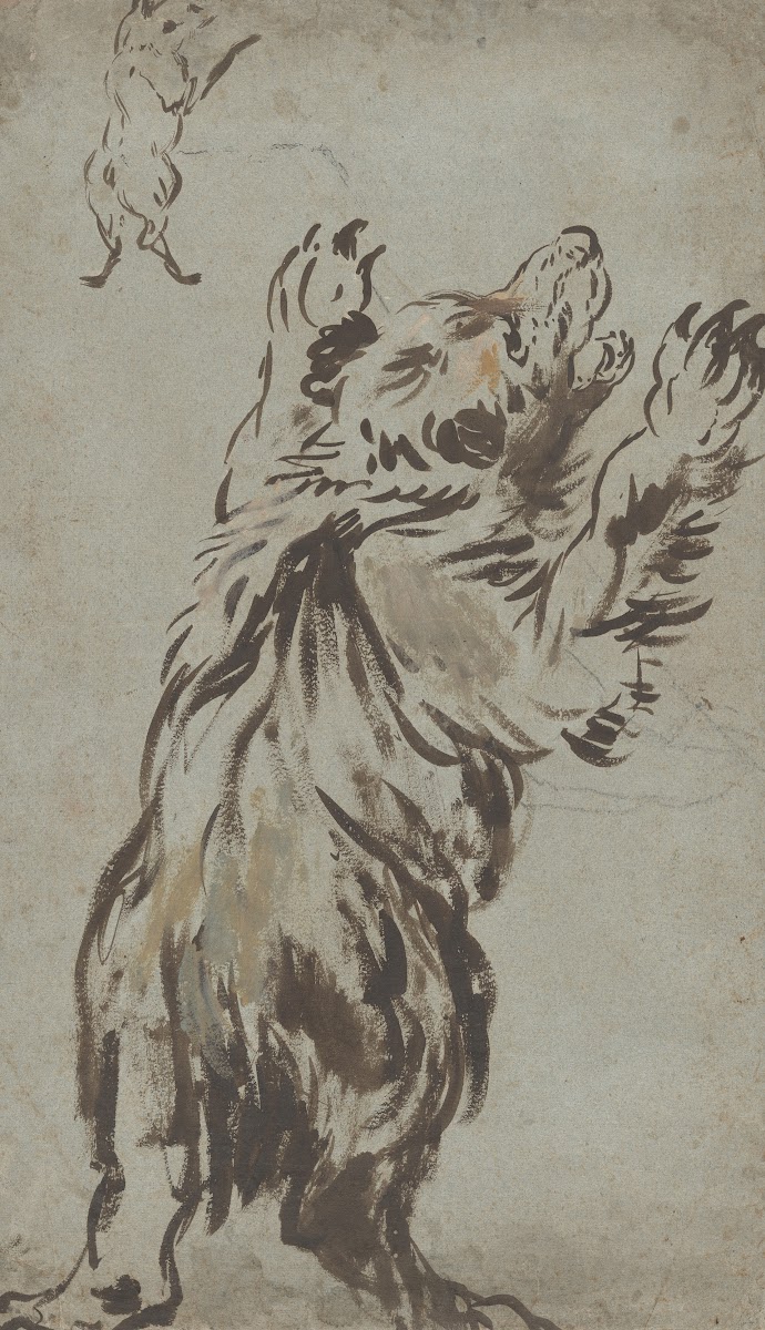 Studies Of A Bear 1620s