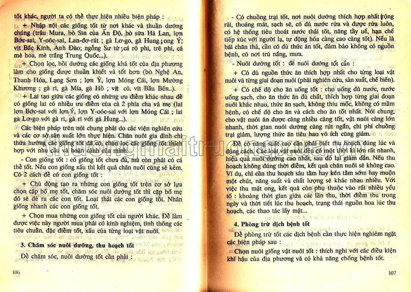 Tìm hiểu tự nhiên và xã hội 5 phổ cập (1993) - Trang 206
