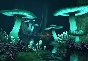 Glowing Mushrooms Wallpaper