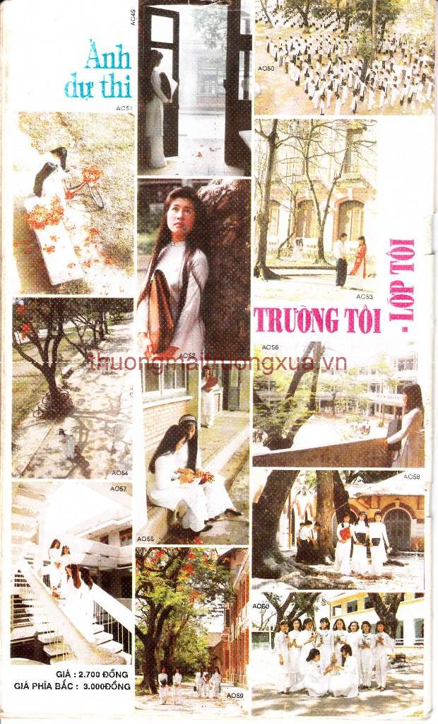 Giai thoại làng nho (tập 2 - 1964) - Trang 33