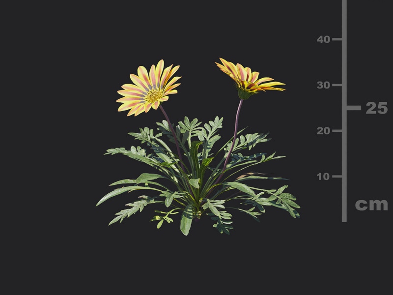 Maxtree - Plant Models Vol.116