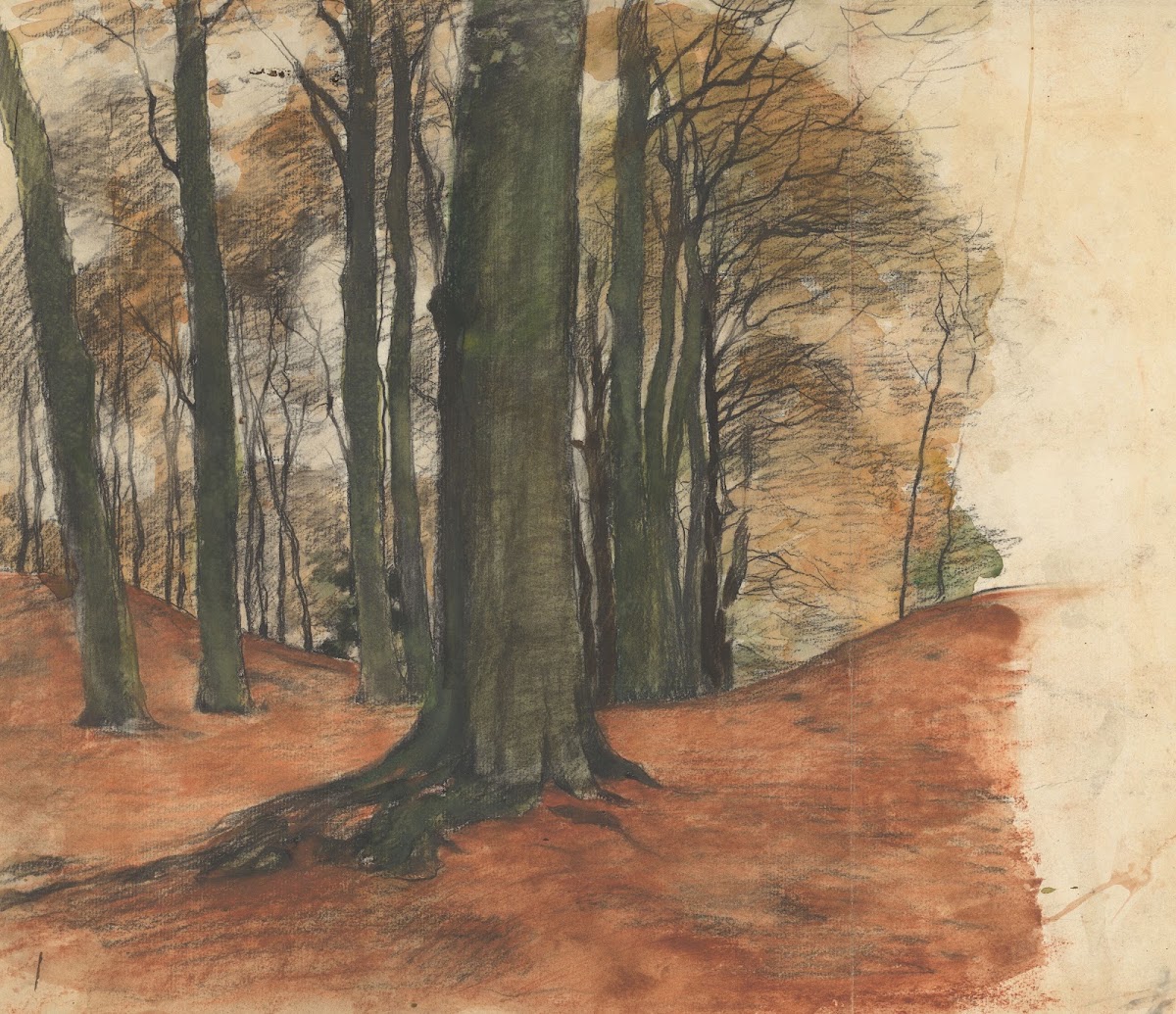 Bosgezicht met zwaar geboomte 1870 1923