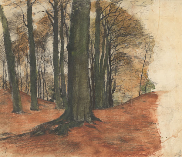 Bosgezicht met zwaar geboomte 1870 1923