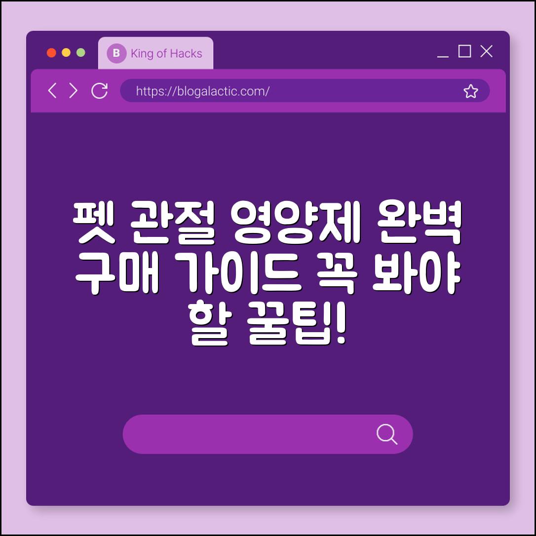 펫 관절 영양제 완벽 가이드