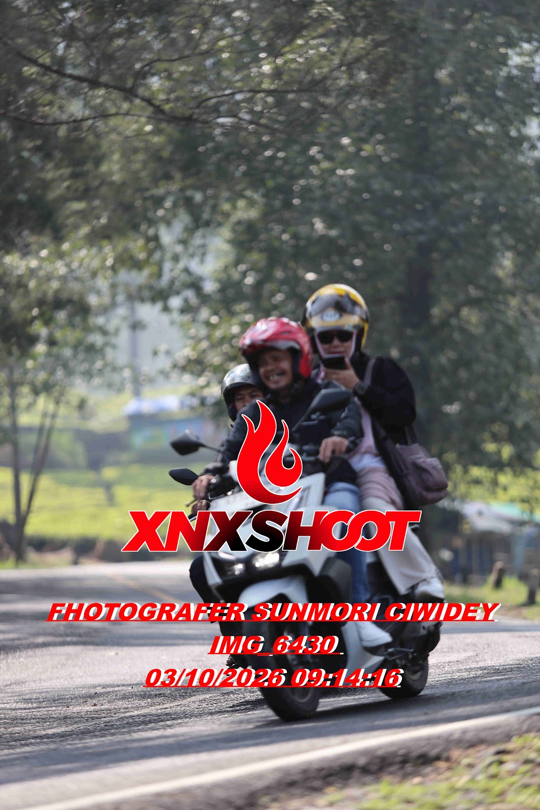 IMG_6430_result.jpg