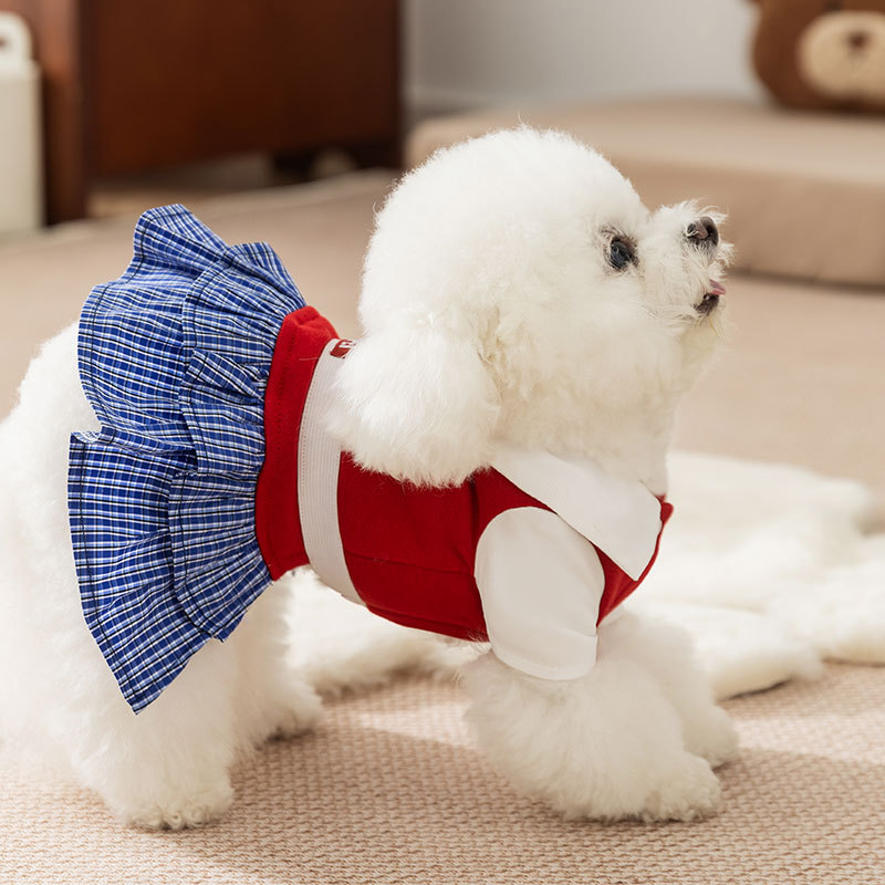 Checked dress for small dogs – Autumn and Winter