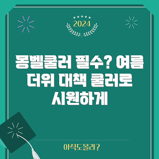 몽벨쿨러, 여름 필수템, 캠핑 초보, 여름 야외 활동, 몽벨쿨러 사용법