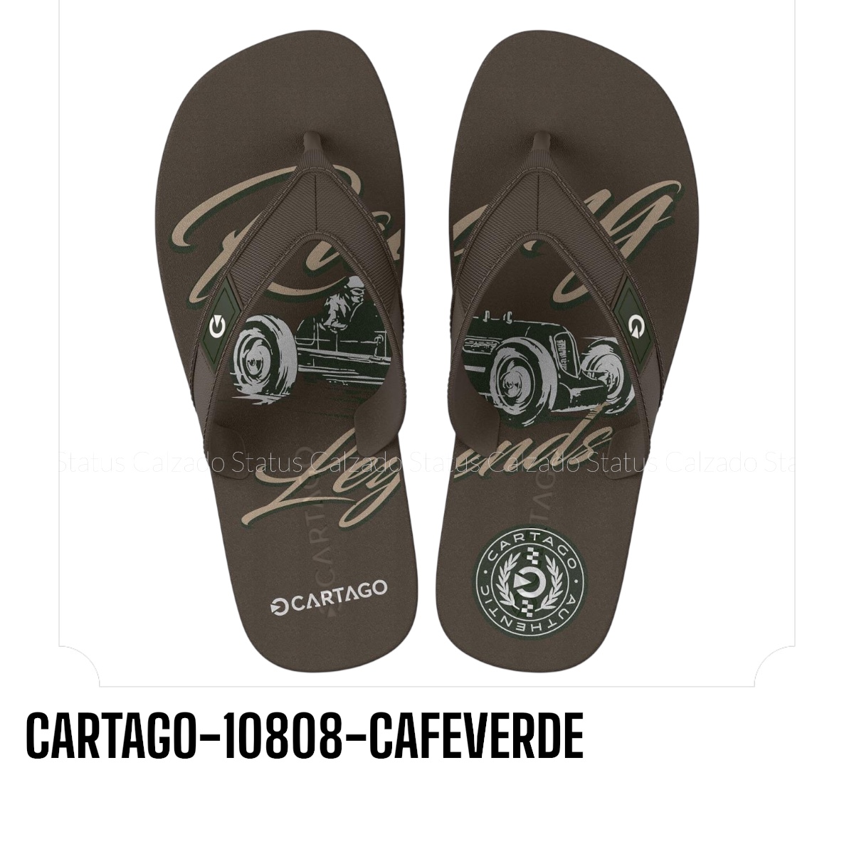 CARTAGO-10808-CAFÉVERDE