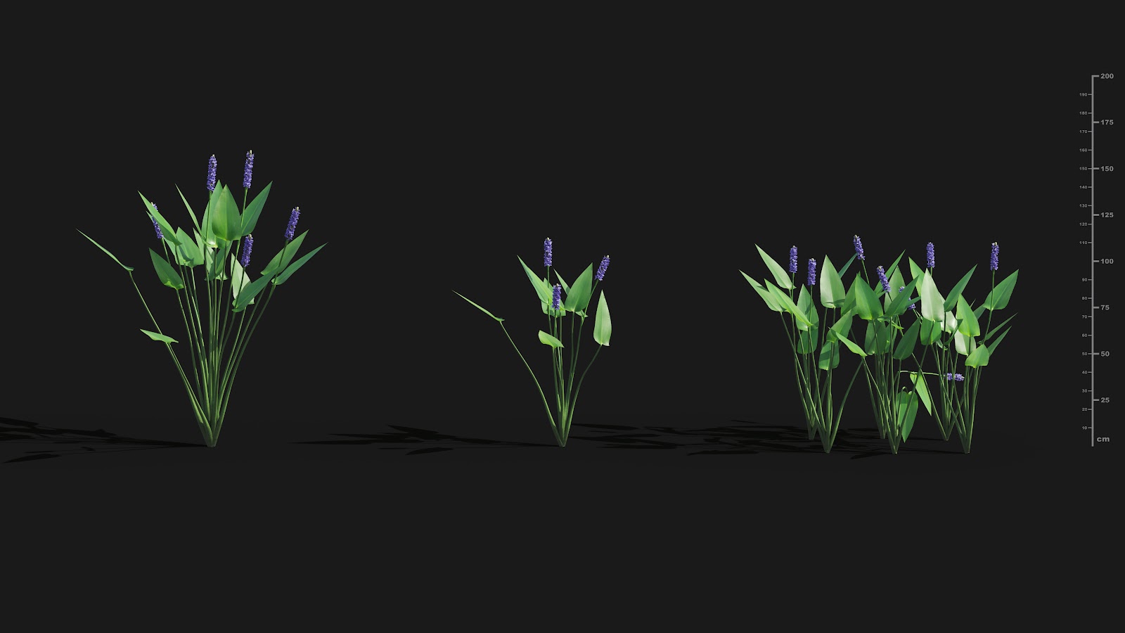 Maxtree - Plant Models Vol.29