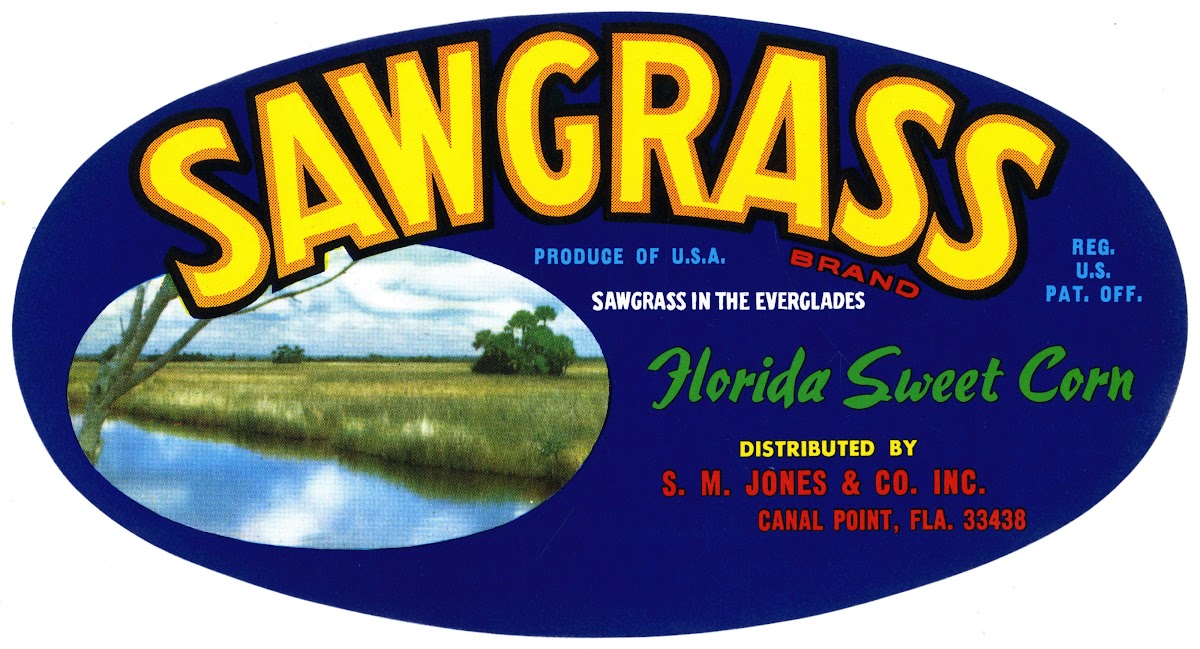 Sawgrass Brand Florida Sweet Corn Label 1930 1950