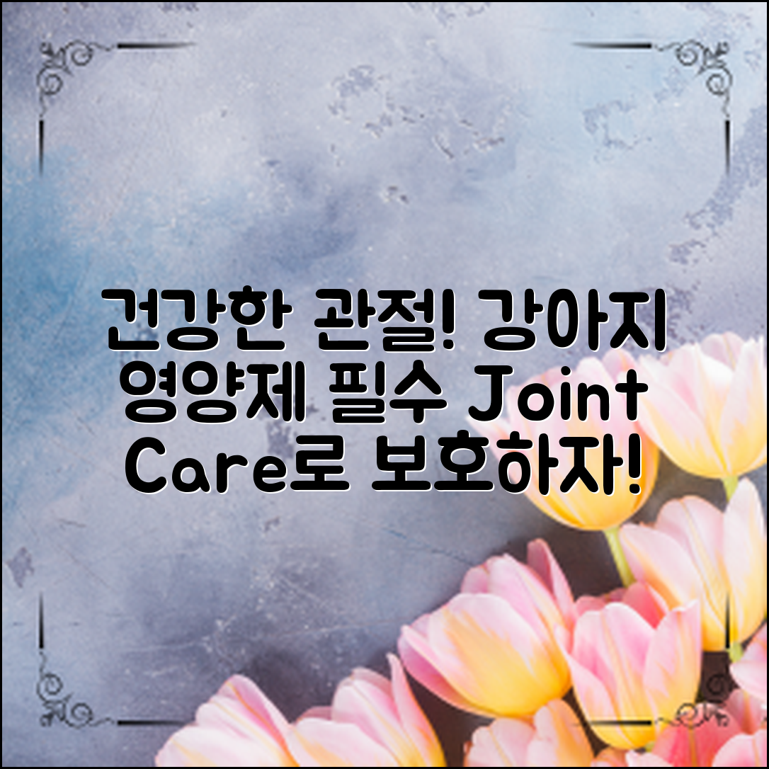 강아지골관절영양제, 건강한 관절을 위한 필수 선택!