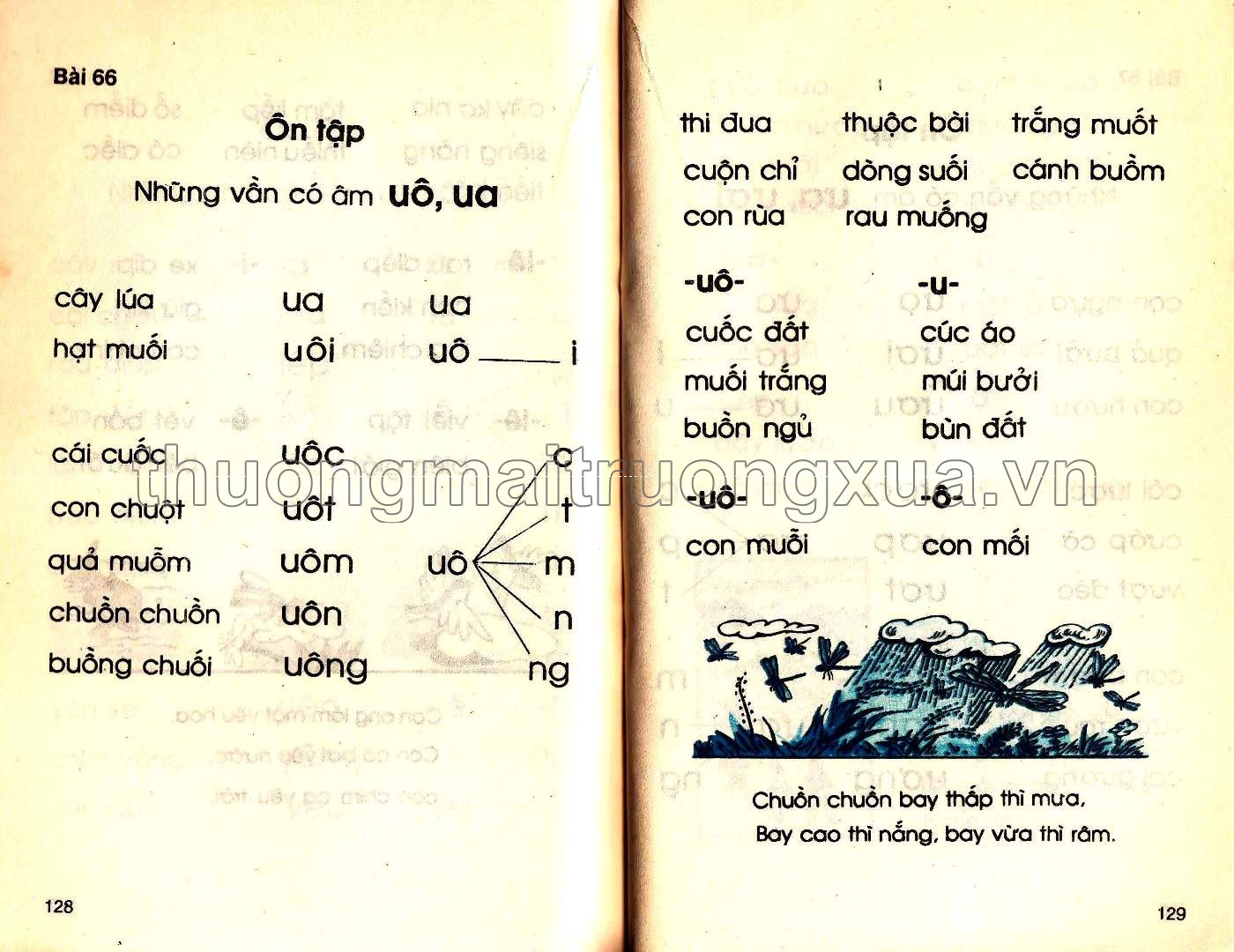 Tiếng Việt 2 (tập 1 - 1990) - Trang 55