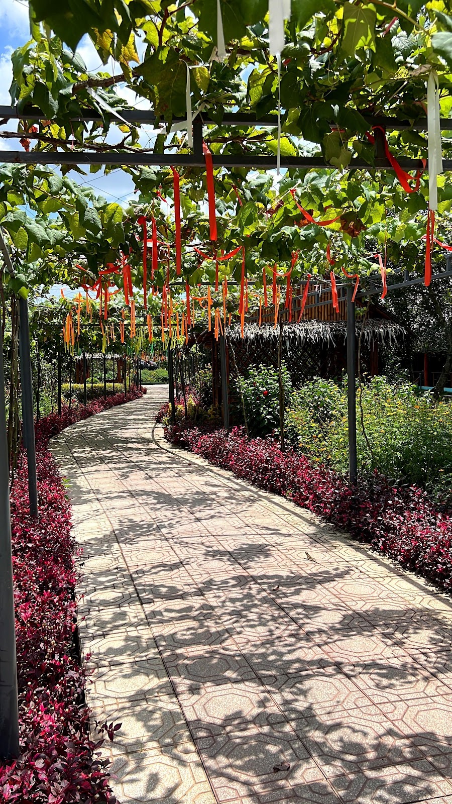 Khu sinh thái Sông Hậu Farm