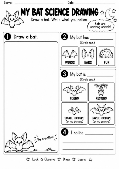 My Bat Science Drawing Worksheet