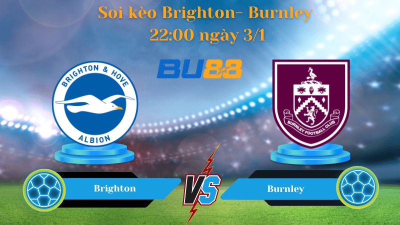 Nhận định bóng đá trận đấu Brighton-  Burnley