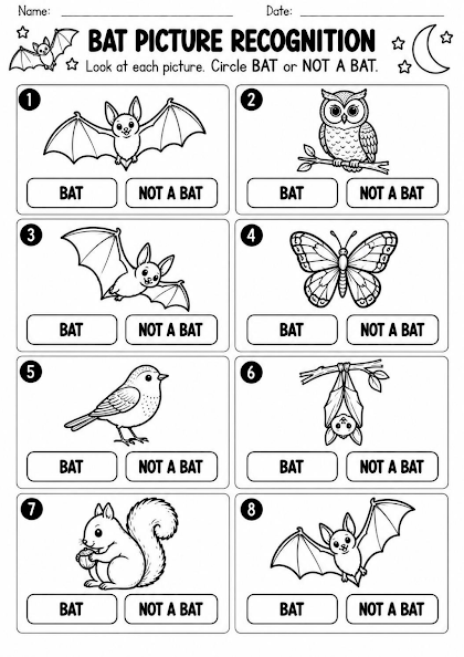 Bat Picture Recognition Worksheet
