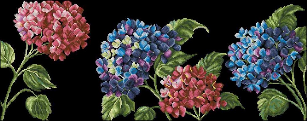 CMP 170171 Moonlight Hydrangea