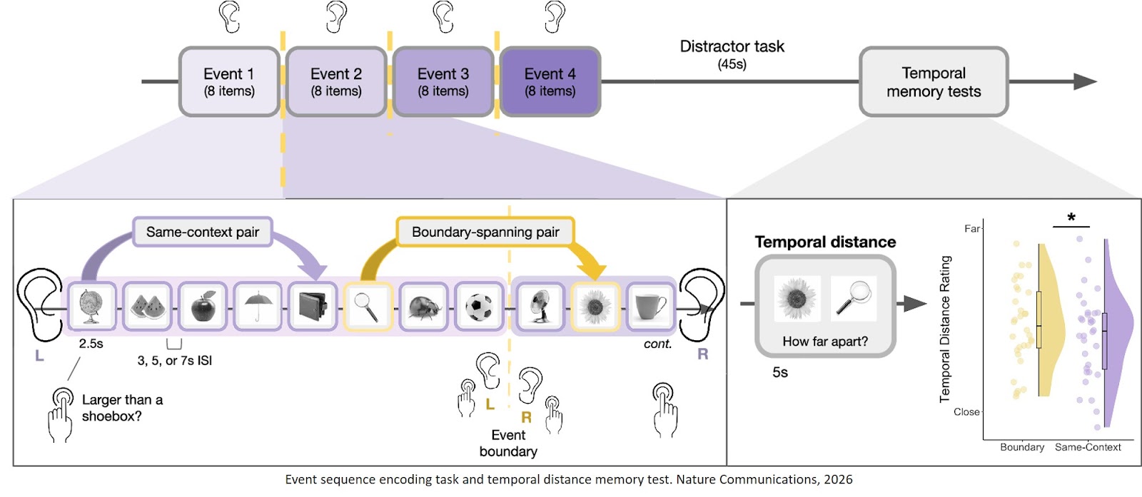 Dopaminergic processes predict temporal distortions in event memory