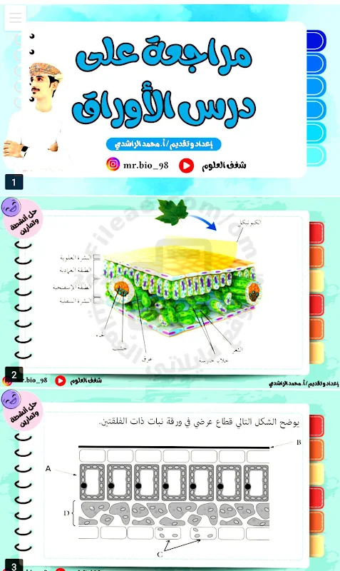 صورة الغلاف