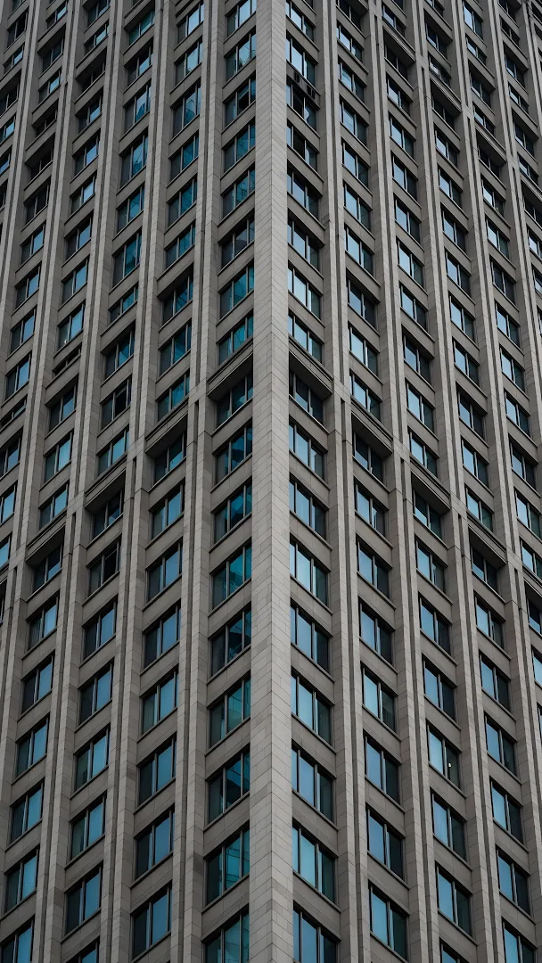 Sunlight Filtering Through Lush Green Forest Canopy