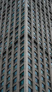 Sunlight Filtering Through Lush Green Forest Canopy