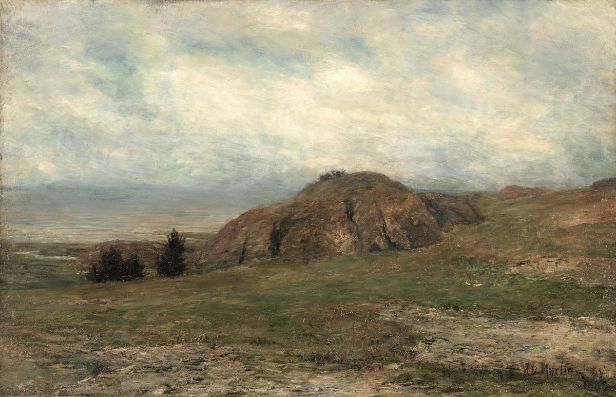 Wild Coast Newport 1889