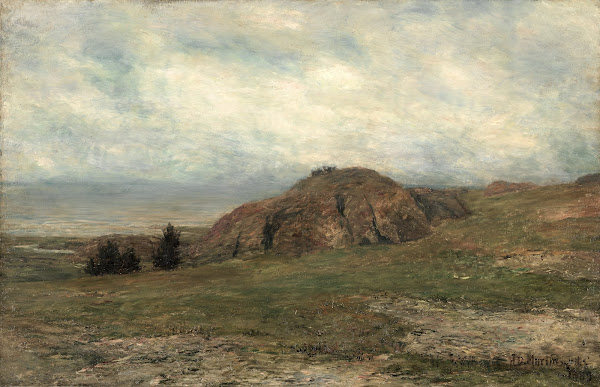 Wild Coast Newport 1889