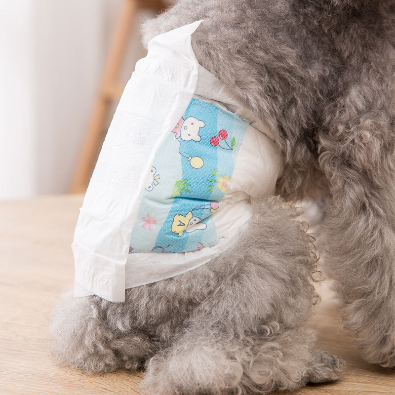 Hundewindeln mit Absorptionsschicht, mehrere Größen