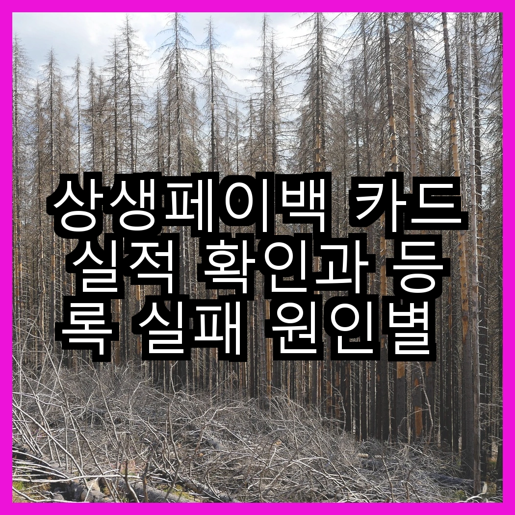 상생페이백 카드실적 확인과 등록 실패 원인별 해결 썸네일