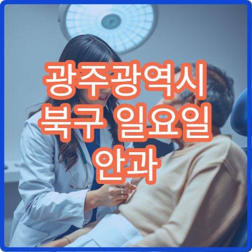 광주광역시 북구 일요일 안과 주말 진료 병원 정보