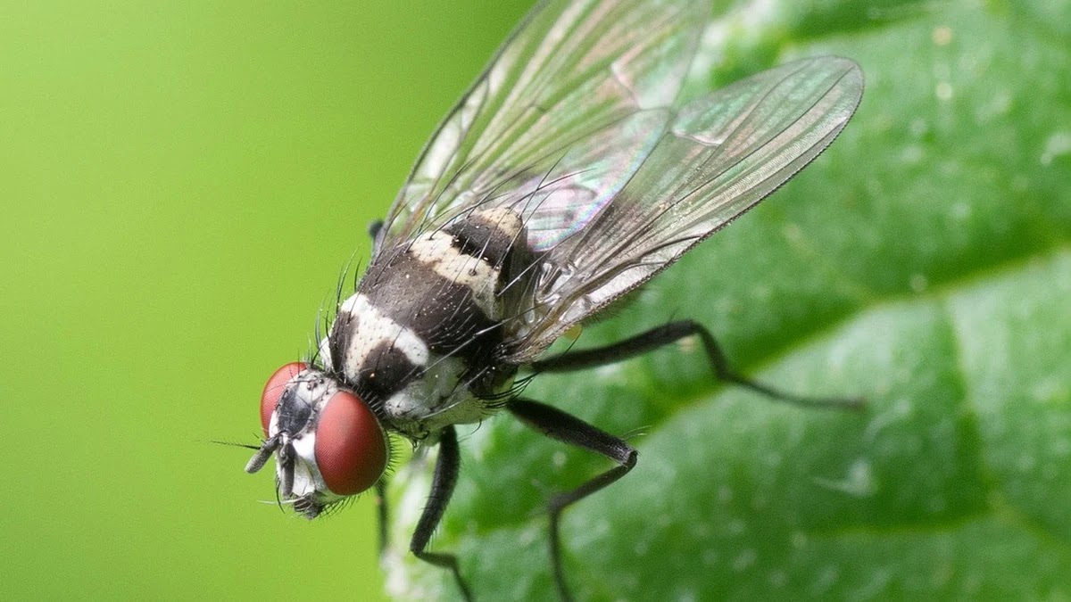 복리 이자 계산기 사용법과 실생활 적용 사례