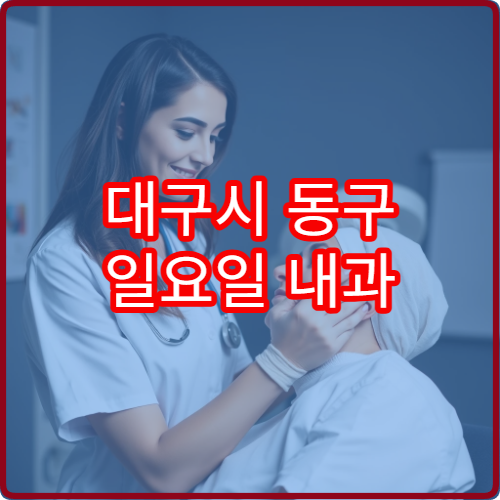 대구시 동구 일요일 내과 진료 가능한 의료기관을 한눈에 정리한 안내