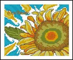 CMP 171502 Sunflower