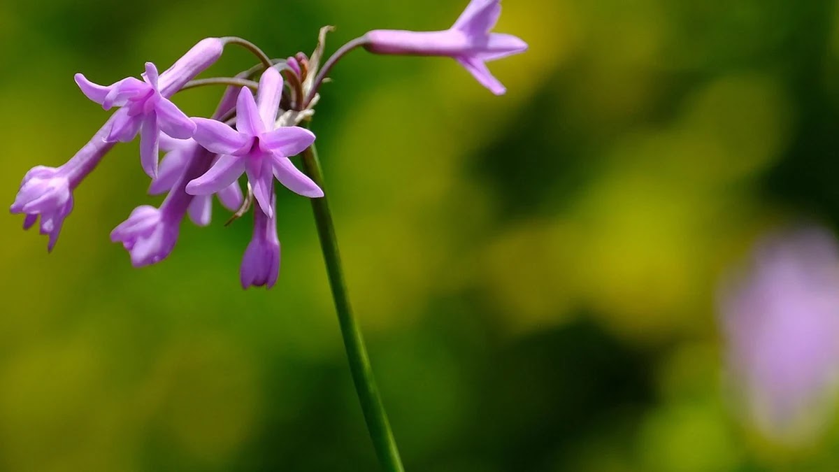 정이라는 단어가 시대별로 담은 사회적 의미 변화