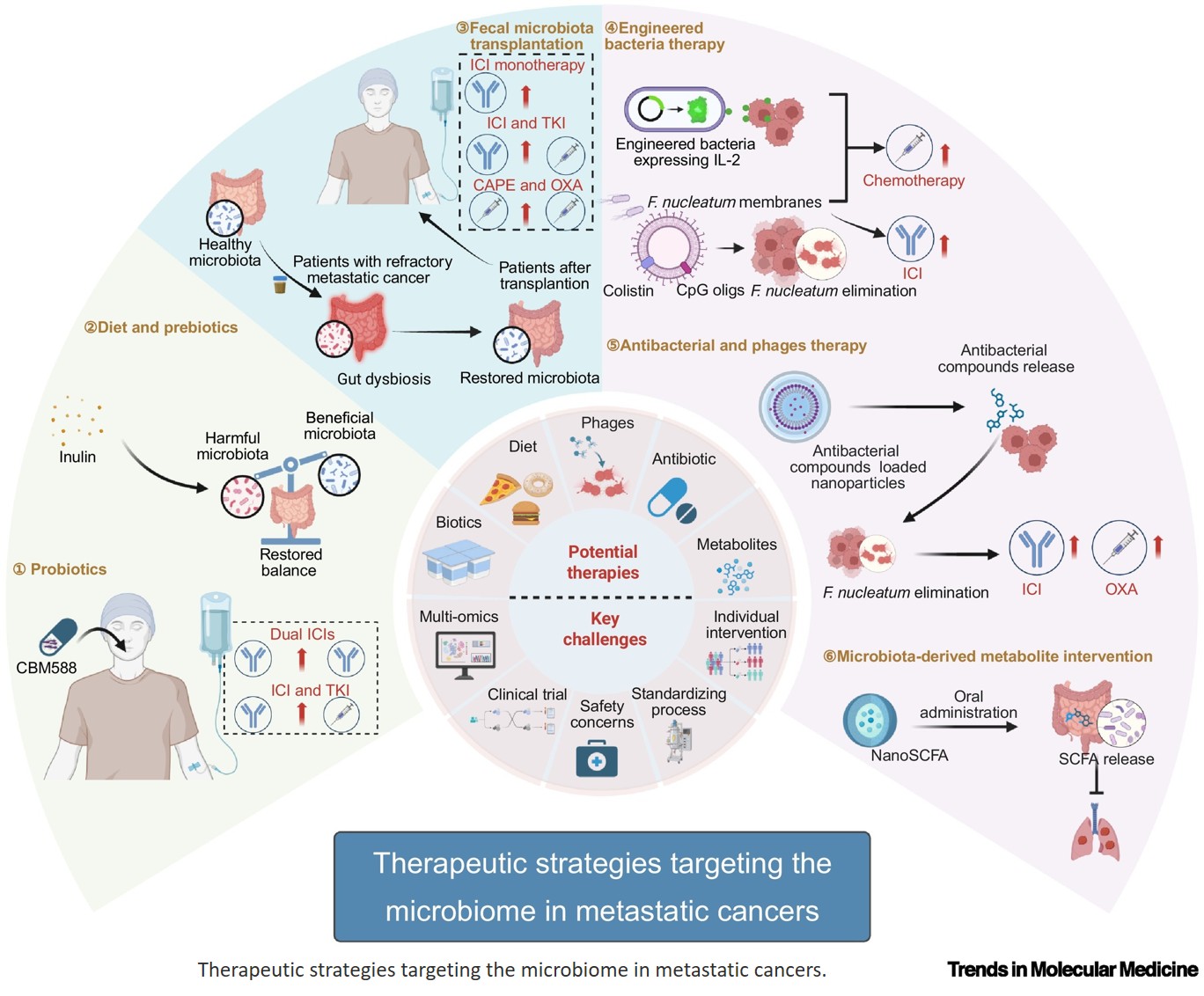 Microbiota: a dawn for cancer metastasis therapy