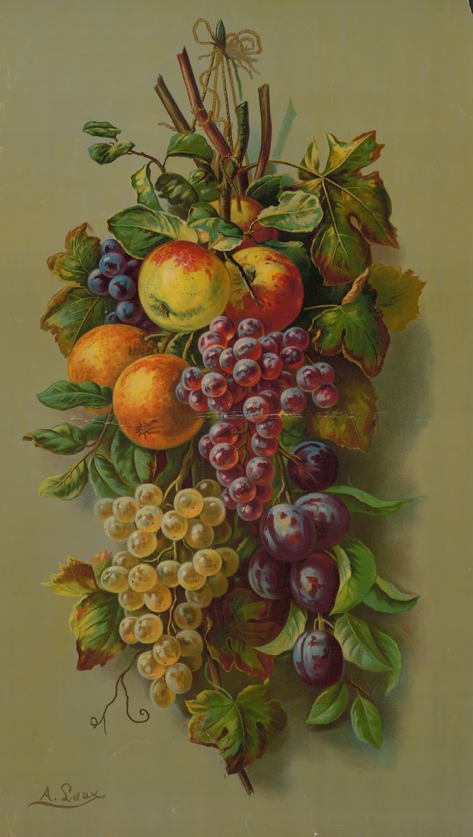 Apples Plums  grapes 1902