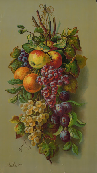Apples Plums  grapes 1902