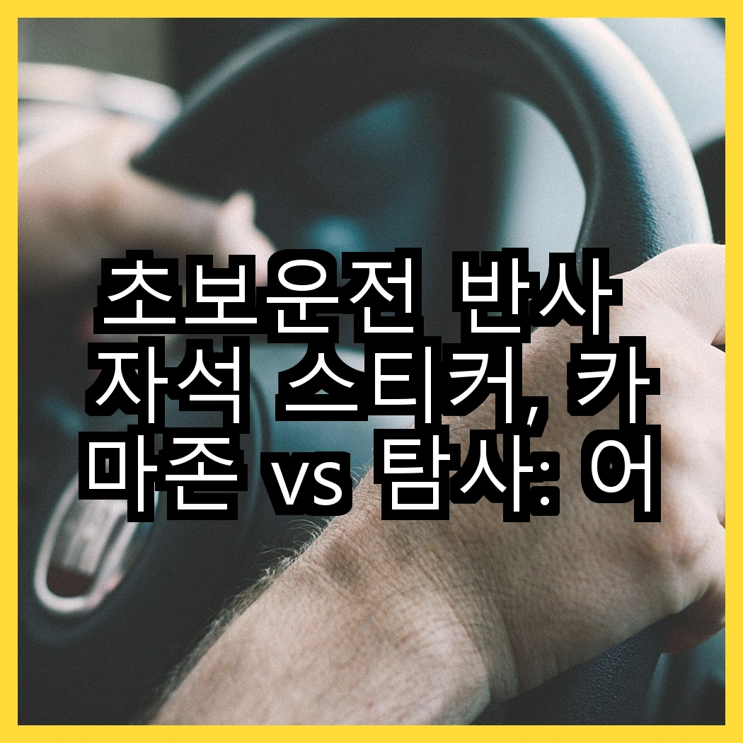 초보운전 반사 자석 스티커, 카마존 vs 탐사: 어떤 선택이 더 좋을까? 썸네일