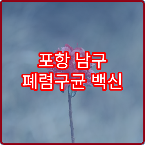 포항 남구 폐렴구균 백신 65세 2026 무료접종 장소