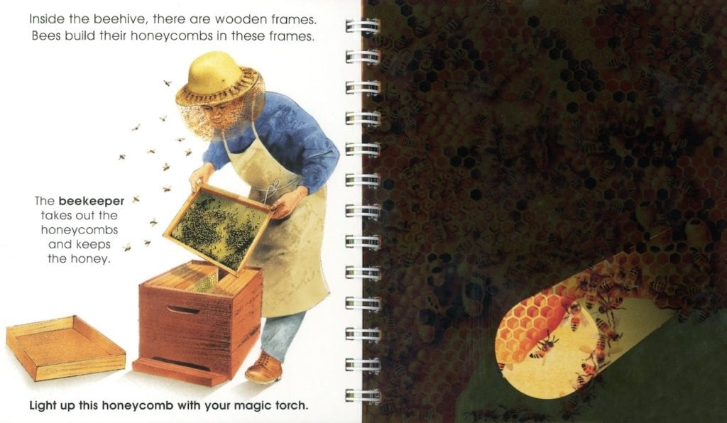 Insects [PO] - thumbnail 3