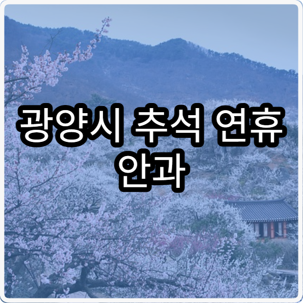 광양시 추석 연휴 안과 진료 병원 위치와 이용 안내
